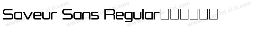 Saveur Sans Regular字体转换